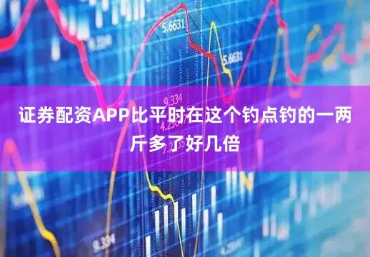 证券配资APP比平时在这个钓点钓的一两斤多了好几倍