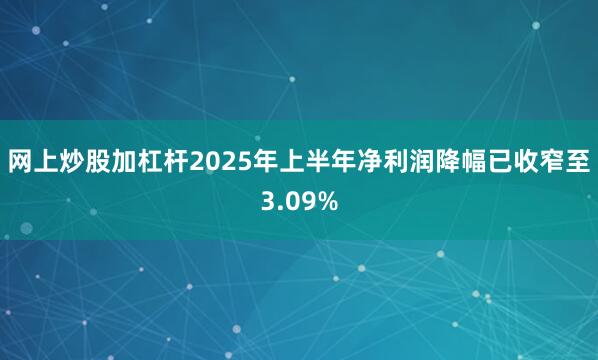 网上炒股加杠杆2025年上半年净利润降幅已收窄至3.09%